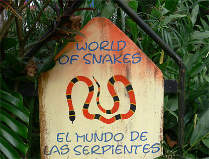 World of Snakes - Welt der Schlangen