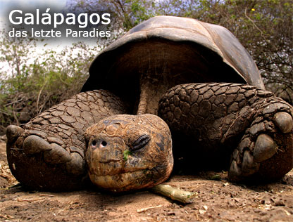 Galápagos das letzte Paradies