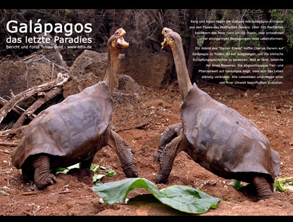 Galapagos | Das letzte Paradies